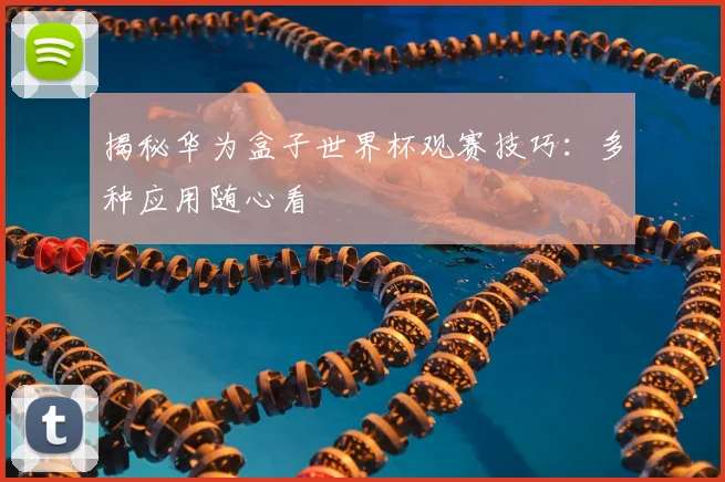 揭秘华为盒子世界杯观赛技巧：多种应用随心看