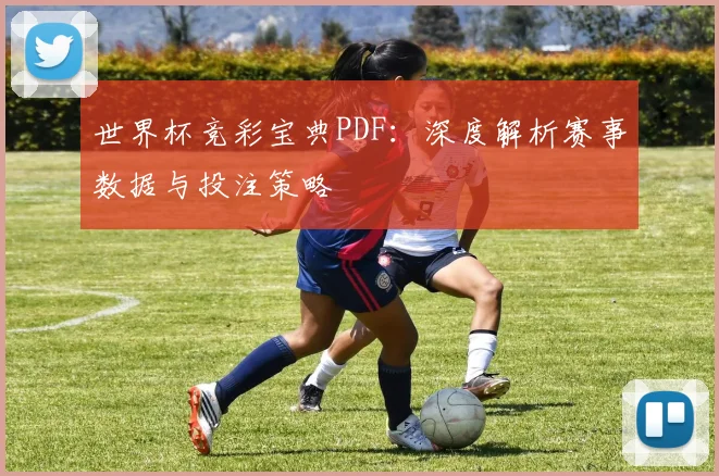 世界杯竞彩宝典PDF：深度解析赛事数据与投注策略