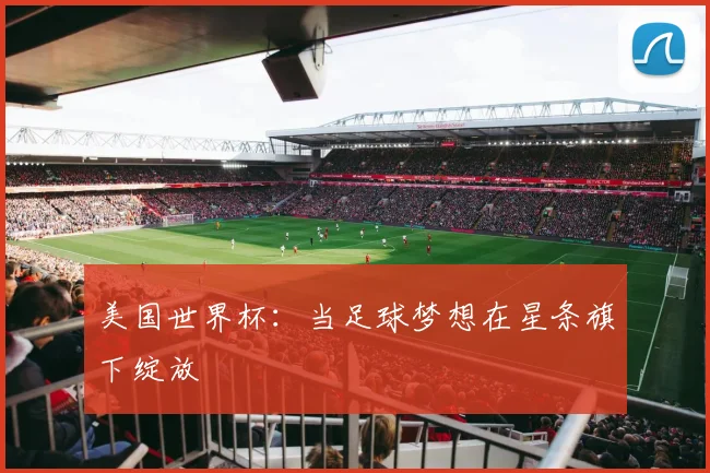 美国世界杯：当足球梦想在星条旗下绽放