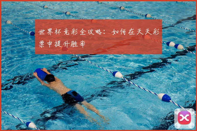世界杯竞彩全攻略：如何在天天彩票中提升胜率