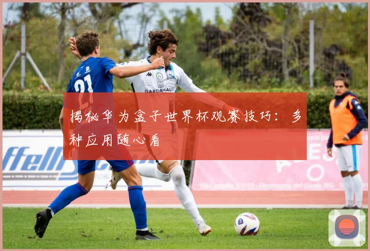 揭秘华为盒子世界杯观赛技巧：多种应用随心看
