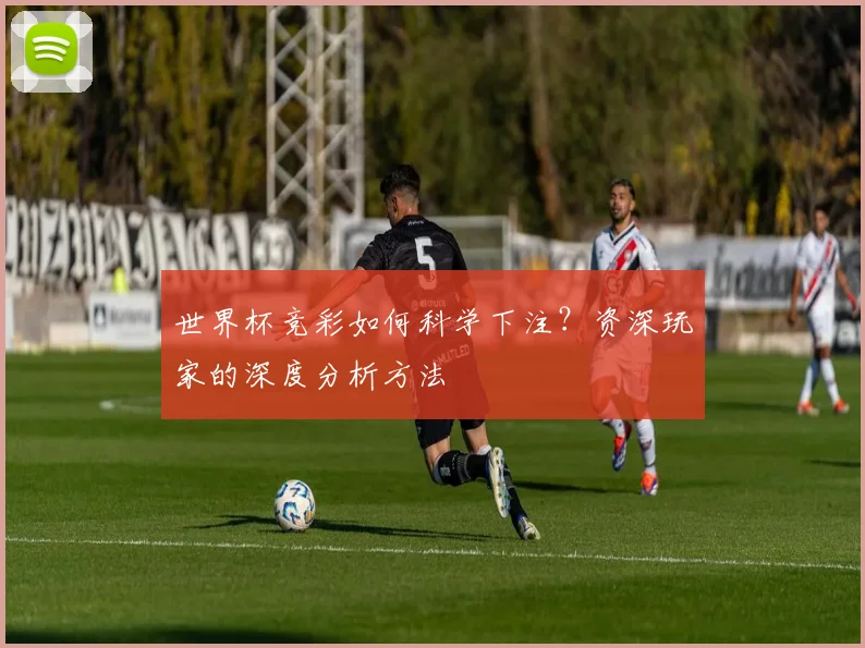 世界杯竞彩如何科学下注？资深玩家的深度分析方法