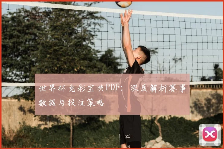 世界杯竞彩宝典PDF：深度解析赛事数据与投注策略