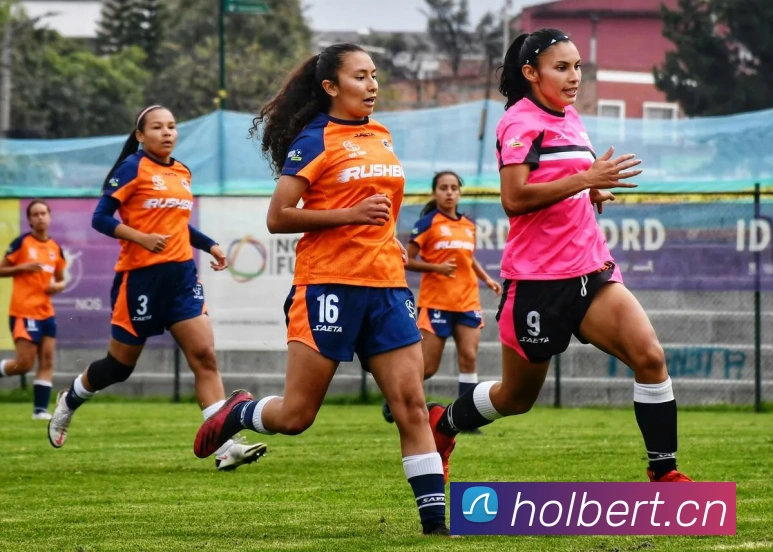 开云kaiyun官方在线登录平台生态图